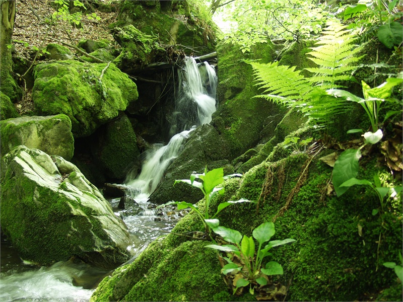 Ljepote Podravine - prekrasni pejzaži, kultura, jahanje, za svakog po nešto! 