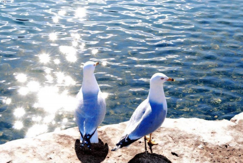 Izdvajamo vikende na moru... sunce, more i romantika - savršen vikend!