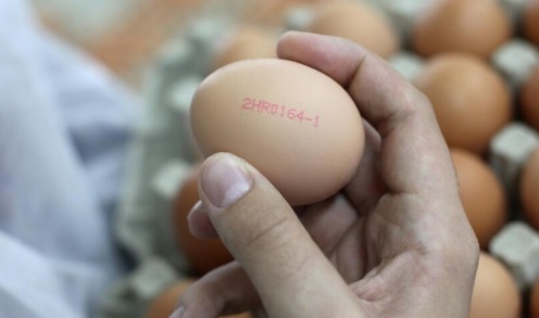 Što znači kod (brojke i slova)  na ljusci jajeta?