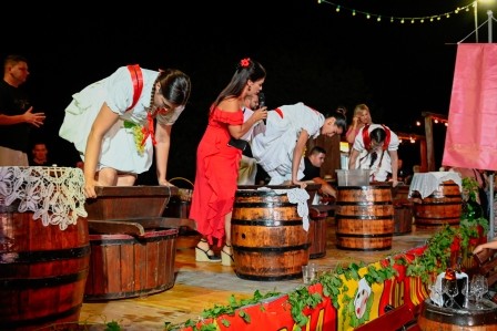 Ružice Vinodola od 20. do 22. kolovoza Novi Vinodolski -TRI DANA TRADICIJE, VINA I...